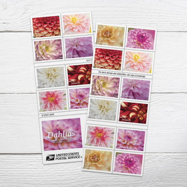Dahlias Stamps 2025 Forever Stamps 100 pcs