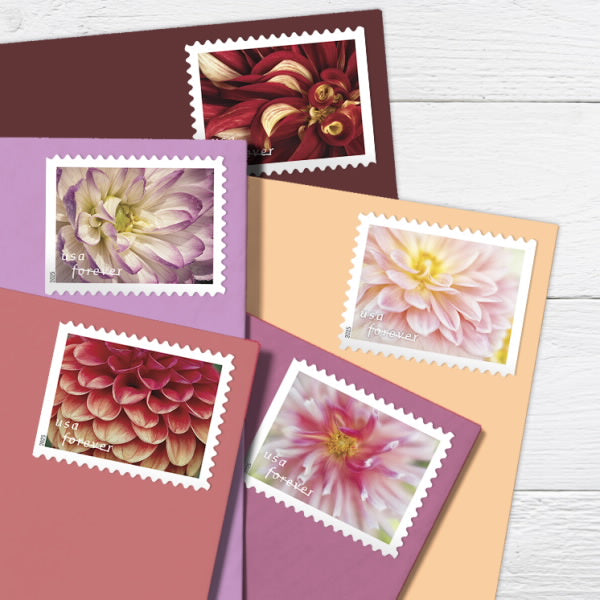 Dahlias Stamps 2025 Forever Stamps 100 pcs