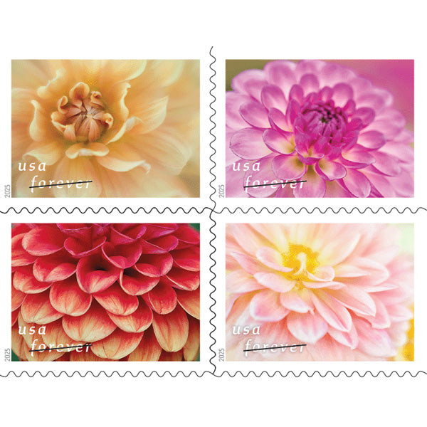 Dahlias Stamps 2025 Forever Stamps 100 pcs