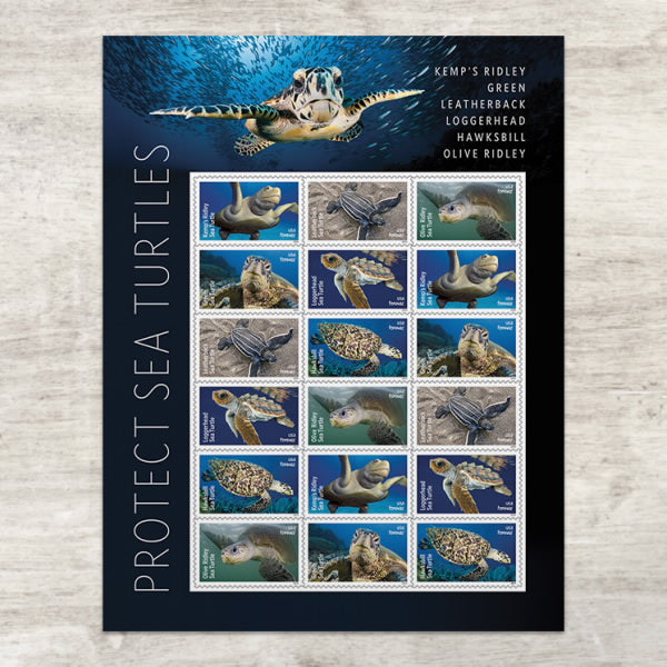 Protect Sea Turtles Stamps 2024(90 pcs)