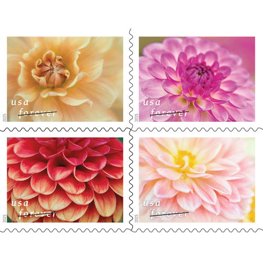Dahlias Stamps 2025 Forever Stamps 100 pcs