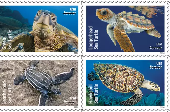 Protect Sea Turtles Stamps 2024(90 pcs)