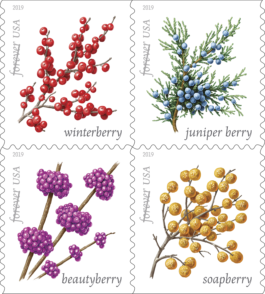 Winter Berries 2019 First-Class Forever Postage Stamps 100pcs