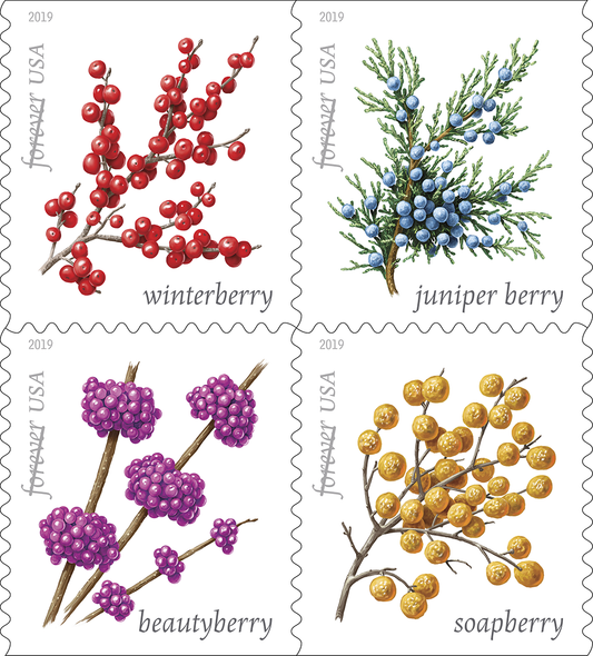 Winter Berries 2019 First-Class Forever Postage Stamps 100pcs