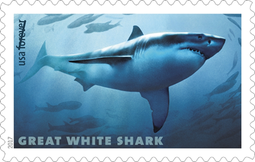 Sharks 2017 Forever Postage Stamps 100 pcs